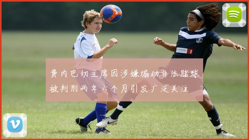 费内巴切主席因涉嫌煽动非法赌球被判刑两年六个月引发广泛关注