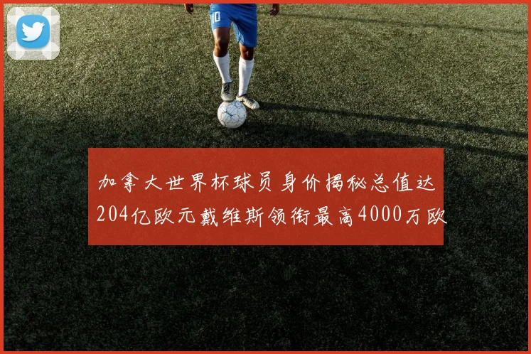 加拿大世界杯球员身价揭秘总值达204亿欧元戴维斯领衔最高4000万欧