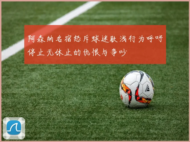 阿森纳名宿怒斥球迷肤浅行为呼吁停止无休止的仇恨与争吵