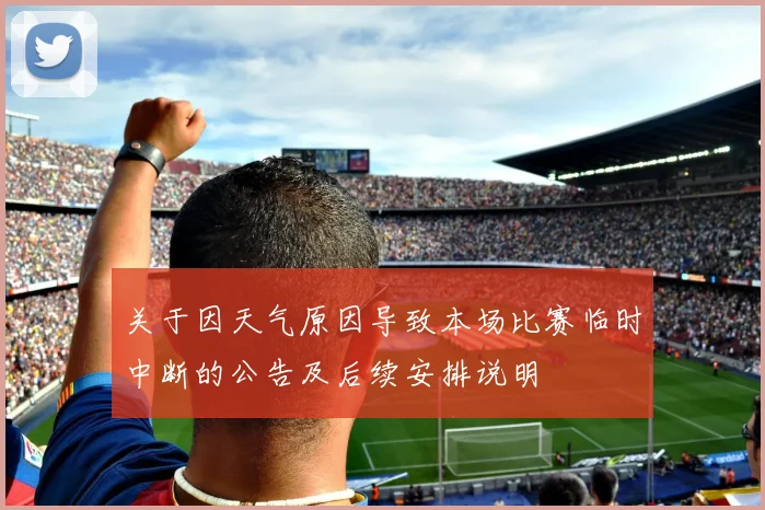 关于因天气原因导致本场比赛临时中断的公告及后续安排说明